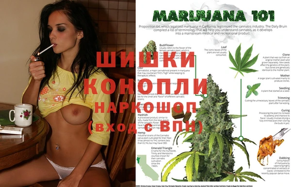 мдпв Белокуриха