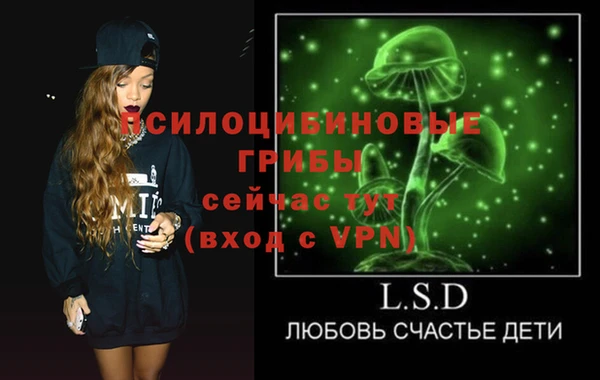 гидра Нязепетровск