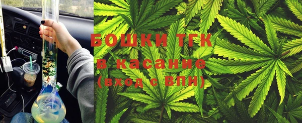 мдпв Белокуриха