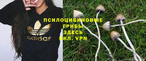 прущие крисы Беломорск