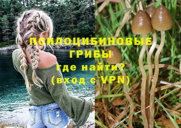 мдпв Белокуриха